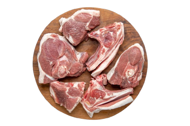 PORC AVEC OS