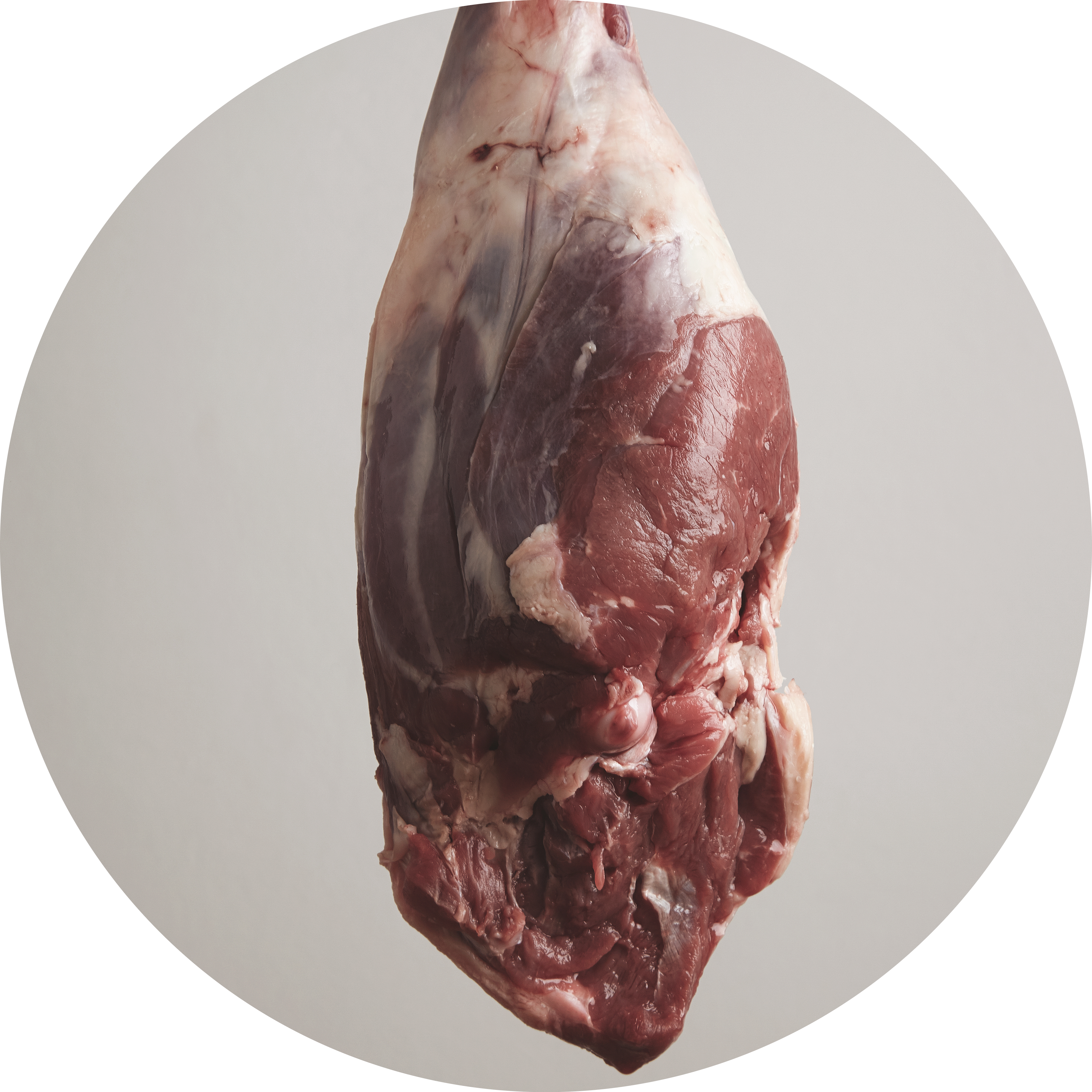 viande mouton