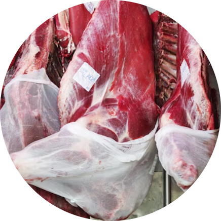 viande de Chèvre