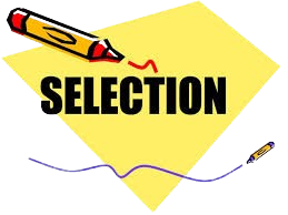 selection removebg preview